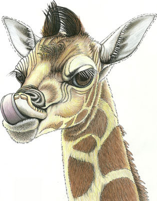 fine art-Malerei-animals-Tiere-Giraffe