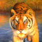 Malerei-Tiere-Bilder-Tiger